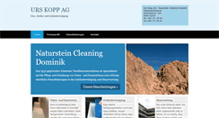 Desktop Screenshot of koppreinigung.ch